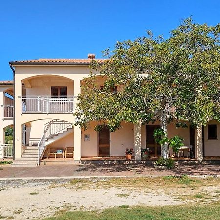 Viola Three Apartment Novigrad  Exterior photo