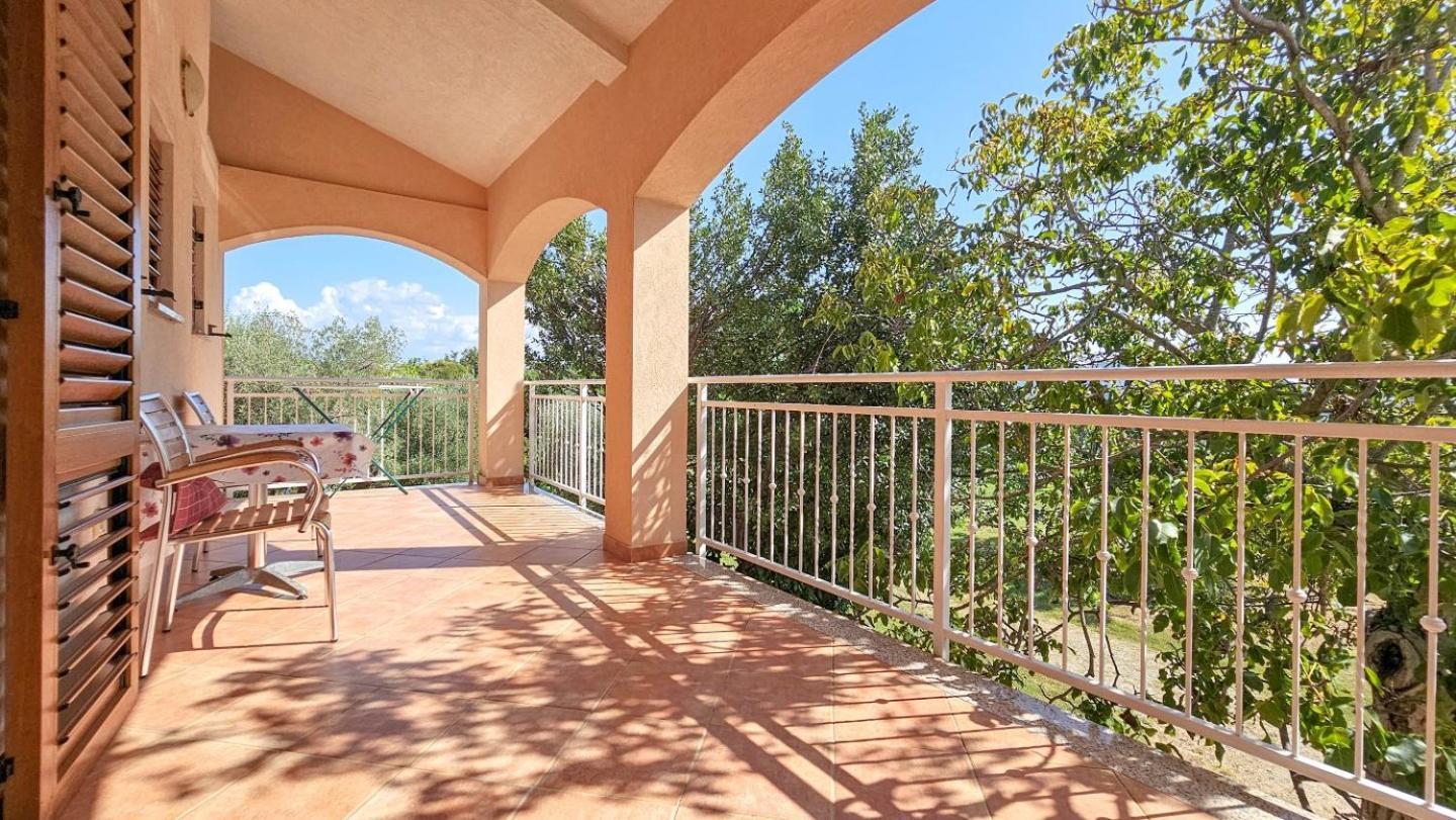 Viola Three Apartment Novigrad  Exterior photo
