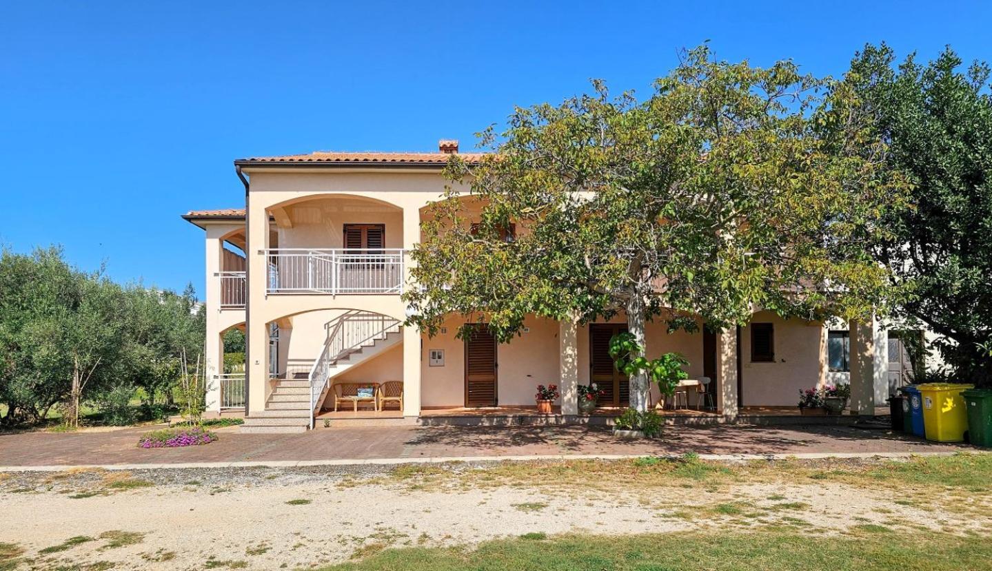 Viola Three Apartment Novigrad  Exterior photo