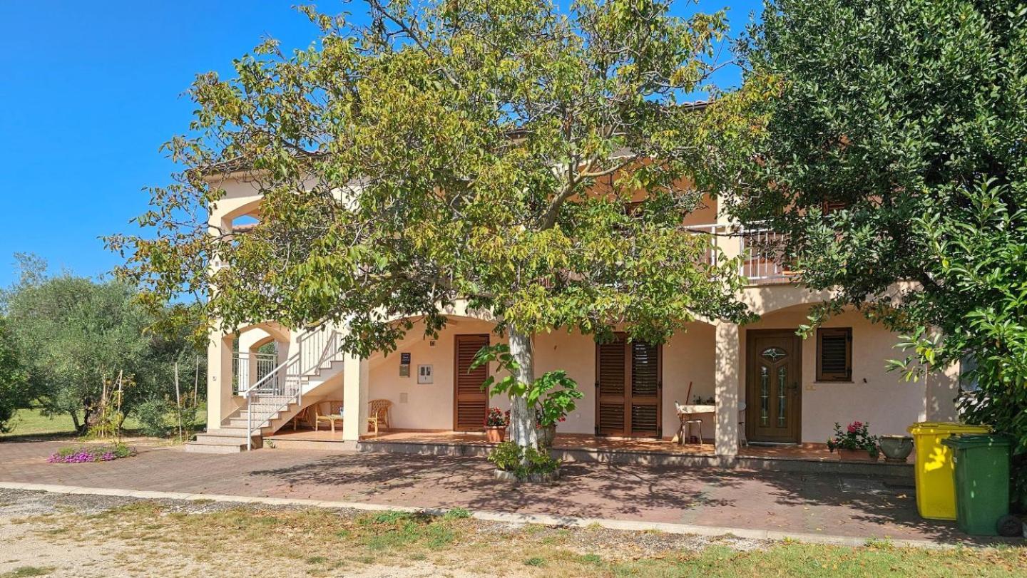 Viola Three Apartment Novigrad  Exterior photo